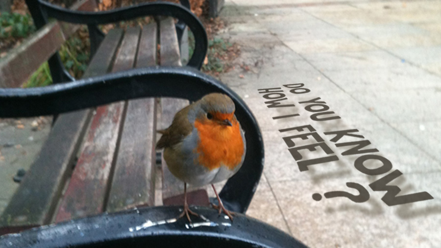 Do You Know How I Feel?