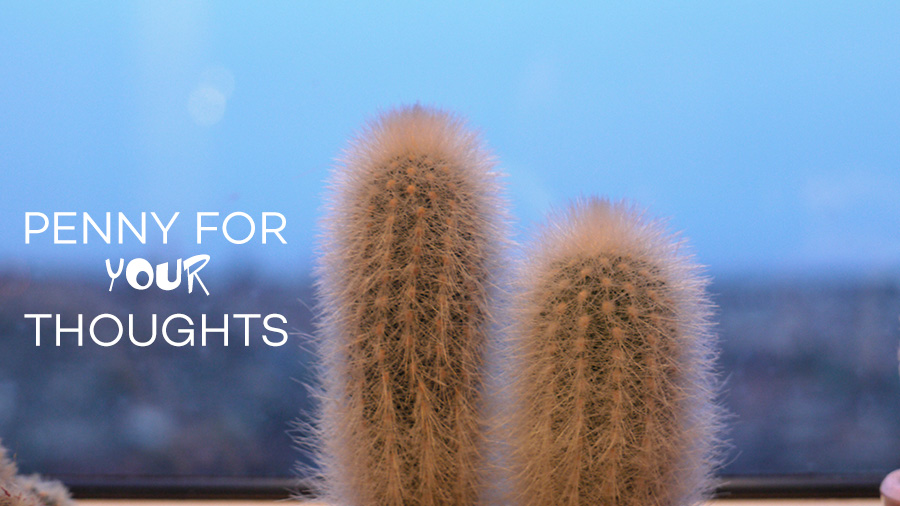 Penny For Your Thoughts